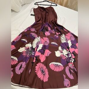 Express Brown Maxi A-Line silk Dress